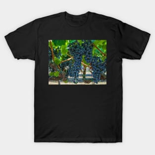 Grapes 2 T-Shirt